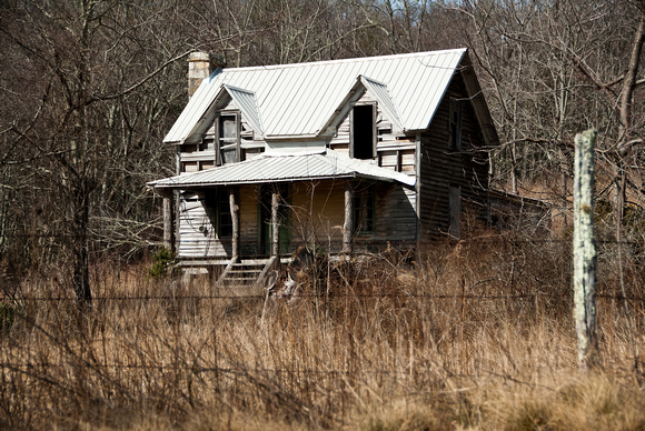 DSC_0018